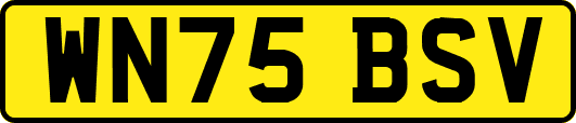 WN75BSV