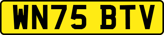 WN75BTV