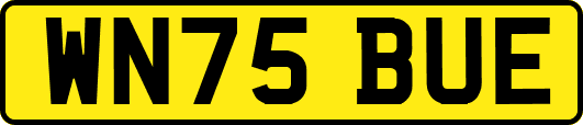 WN75BUE