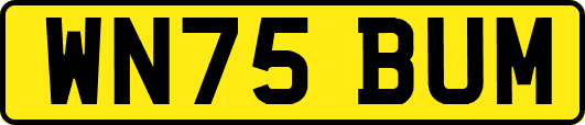 WN75BUM