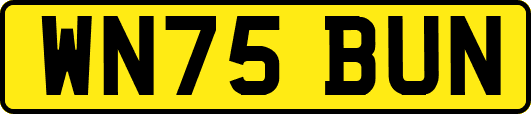 WN75BUN
