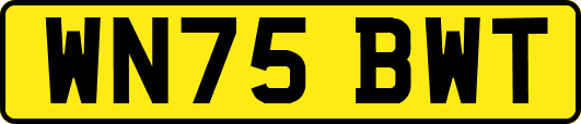 WN75BWT