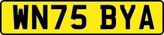 WN75BYA