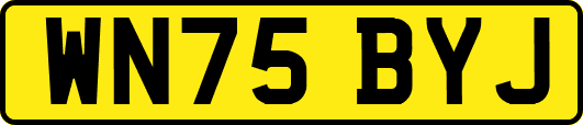 WN75BYJ