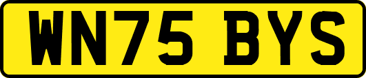 WN75BYS