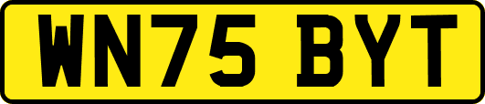 WN75BYT