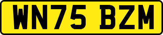 WN75BZM