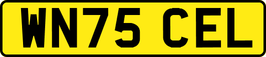 WN75CEL
