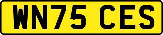 WN75CES