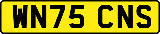 WN75CNS