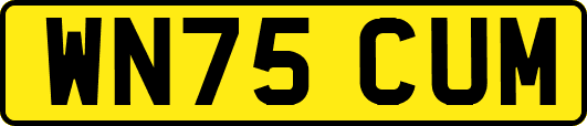 WN75CUM