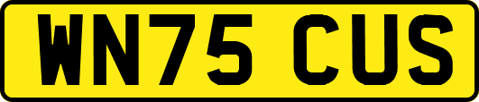 WN75CUS