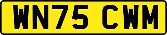 WN75CWM