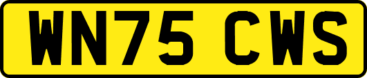 WN75CWS