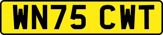 WN75CWT