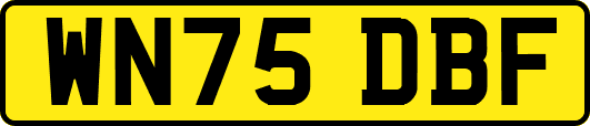 WN75DBF