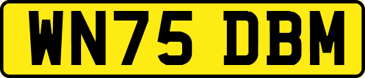 WN75DBM