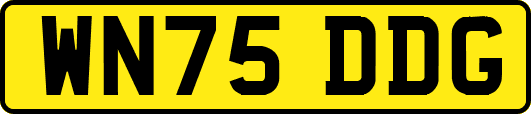 WN75DDG
