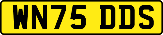 WN75DDS