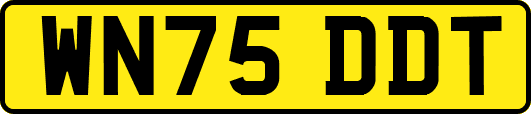 WN75DDT