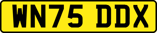 WN75DDX
