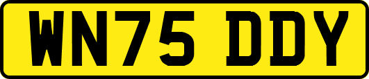 WN75DDY