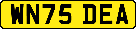 WN75DEA