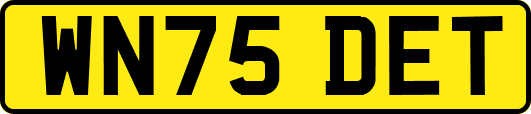 WN75DET