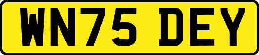 WN75DEY
