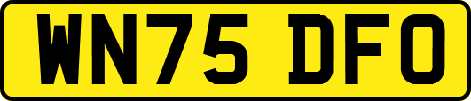WN75DFO