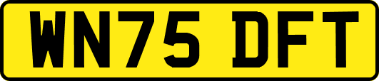 WN75DFT