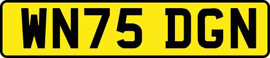 WN75DGN