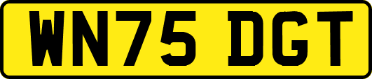 WN75DGT
