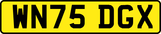 WN75DGX