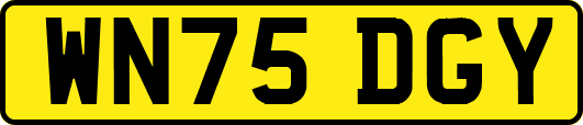WN75DGY