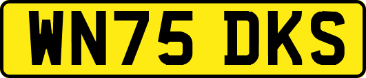 WN75DKS