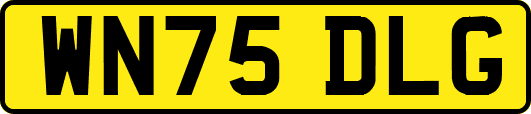 WN75DLG