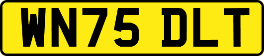 WN75DLT