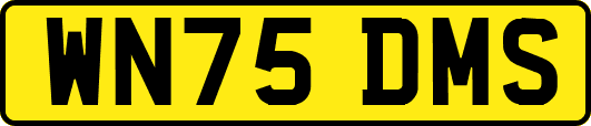 WN75DMS