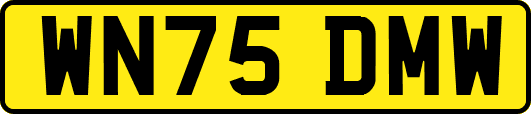 WN75DMW