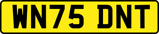 WN75DNT