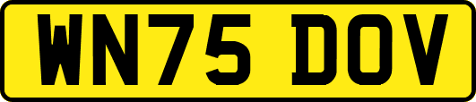 WN75DOV