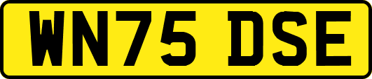 WN75DSE