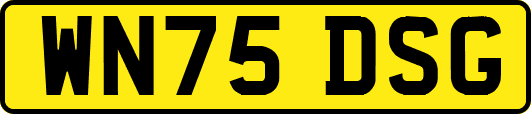 WN75DSG