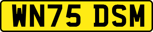 WN75DSM