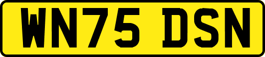 WN75DSN