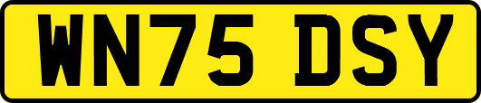 WN75DSY