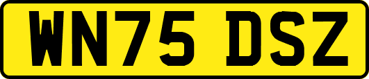 WN75DSZ