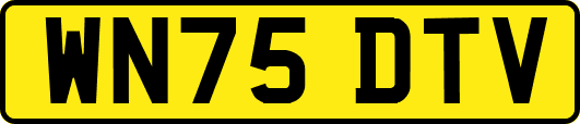 WN75DTV