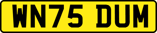 WN75DUM